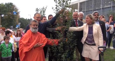 Planting of peace tree in Gyor