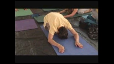 Asanas program from Dungog, Australia (5/15)