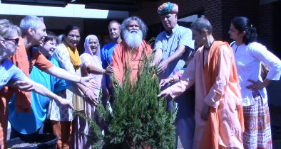 Peace tree planting in Atlanta