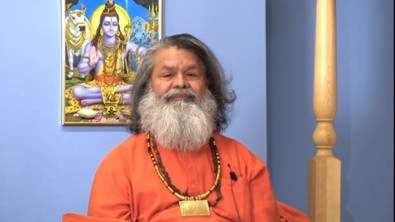 Satsang From Vienna