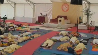 Afternoon Yoga practice, Umag, Croatia on 28th of September 2010