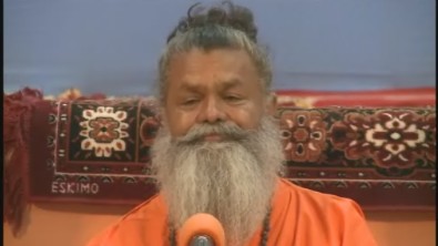 Swamijis Satsang in Haridwar (2/2)